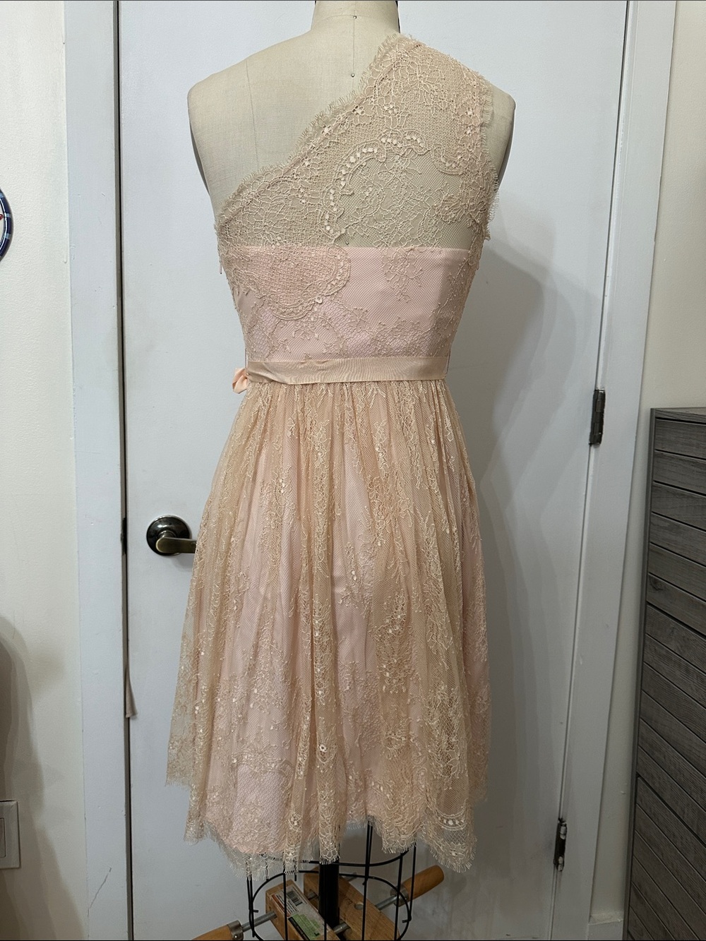 One-Shoulder Lace A-Line Dress in Blush - Picture 4 of 13